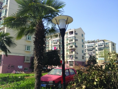 1497573481703781.jpg 1.jpg