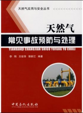 天然氣應(yīng)用與安全叢書(shū) 天然氣常見(jiàn)事故預(yù)防與處理