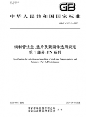 鋼制管法蘭、墊片及緊固件選用規(guī)定 第1部分：PN系列國標/T 43079.1-2023