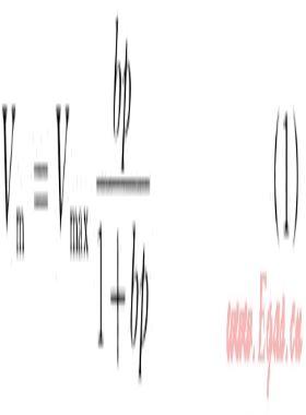 煤層氣羽狀水平井的開(kāi)采優(yōu)化