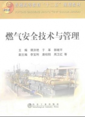  燃?xì)獍踩夹g(shù)與管理 作者：譚洪艷，于革，郭繼平 主編