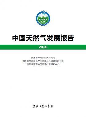 2020中國天然氣發(fā)展報(bào)告（含2017、2018、2019、2020）